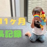 零の1歳11ヶ月の成長記録